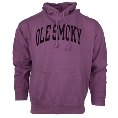 ARCH TEXT HOODIE - GARNET