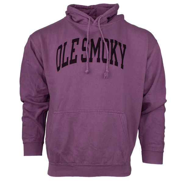 ARCH TEXT HOODIE - GARNET, view 1