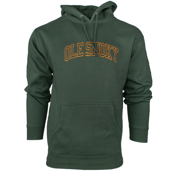 ARCH HOODIE - ALPINE, view 1