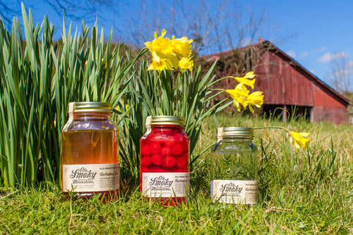 Sunshine, Springtime, Moonshine