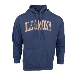 ARCH TEXT HOODIE - INDIGO