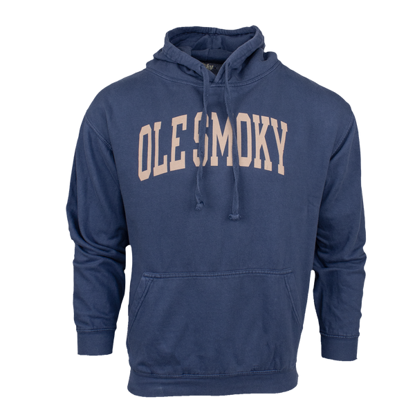 ARCH TEXT HOODIE - INDIGO, view 1