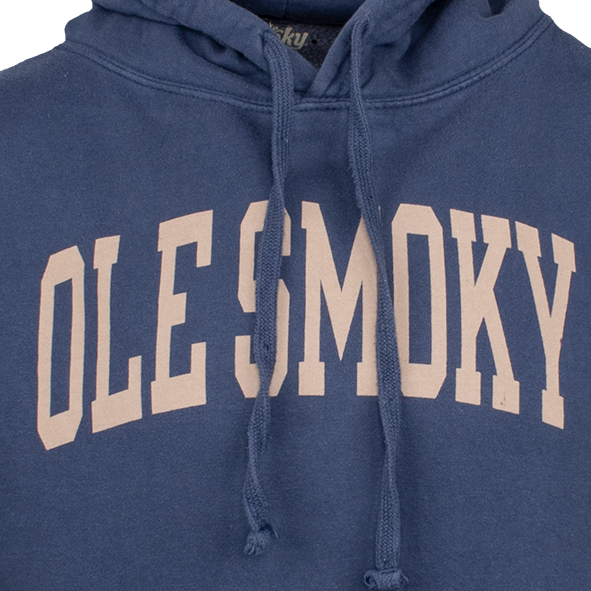 ARCH TEXT HOODIE - INDIGO, view 2