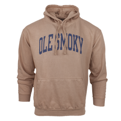 ARCH TEXT HOODIE - LATTE
