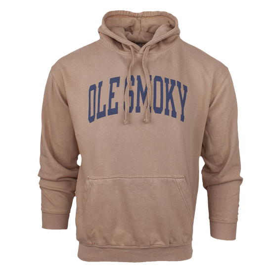 ARCH TEXT HOODIE - LATTE view 1