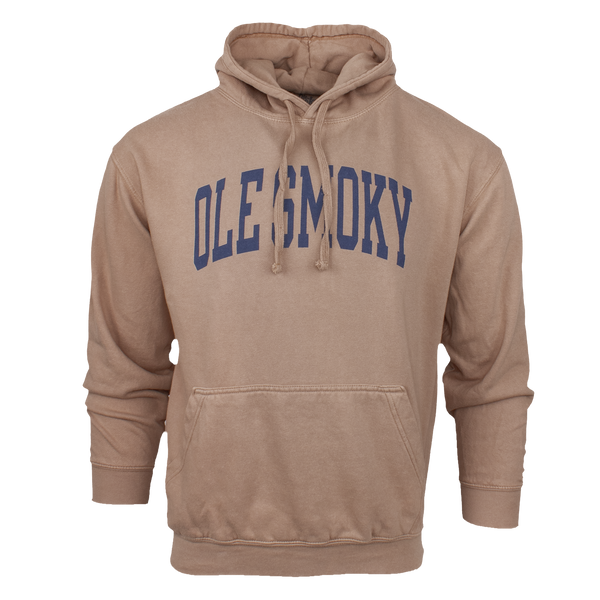 ARCH TEXT HOODIE - LATTE, view 1