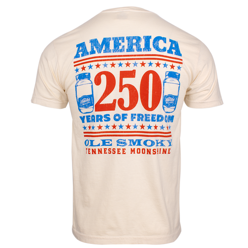 250 STARS AND STRIPES TEE