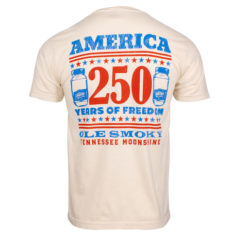 250 STARS AND STRIPES TEE