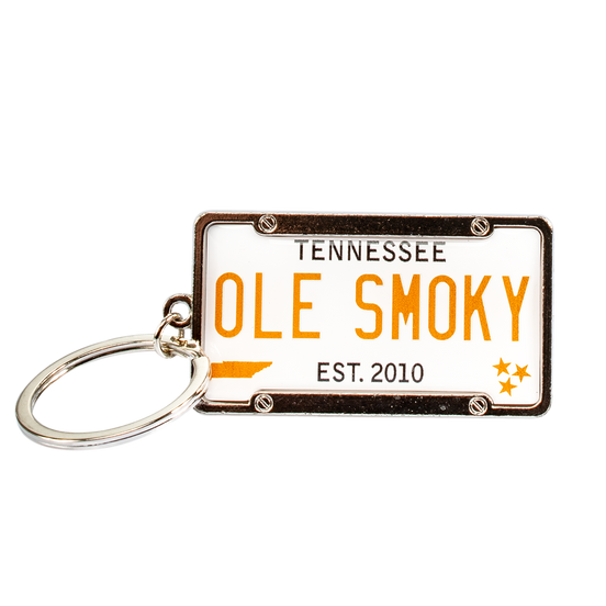 LICENSE PLATE KEYCHAIN