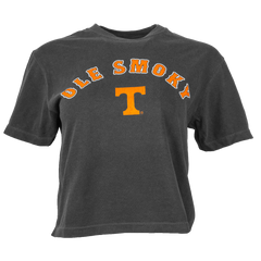 UT POWER T CROP TEE