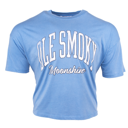 ARCH TEXT BOARDWALK TEE - LAKE BLUE