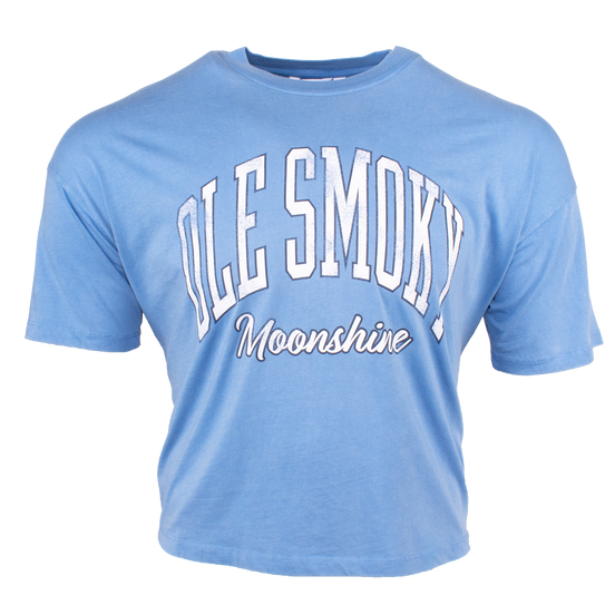 ARCH TEXT BOARDWALK TEE - LAKE BLUE
