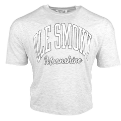 ARCH TEXT BOARDWALK TEE - STERLING HEATHER
